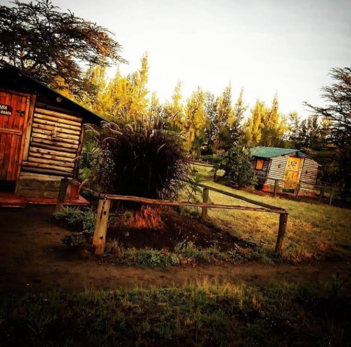 Lillypond Camp * Elmenteita