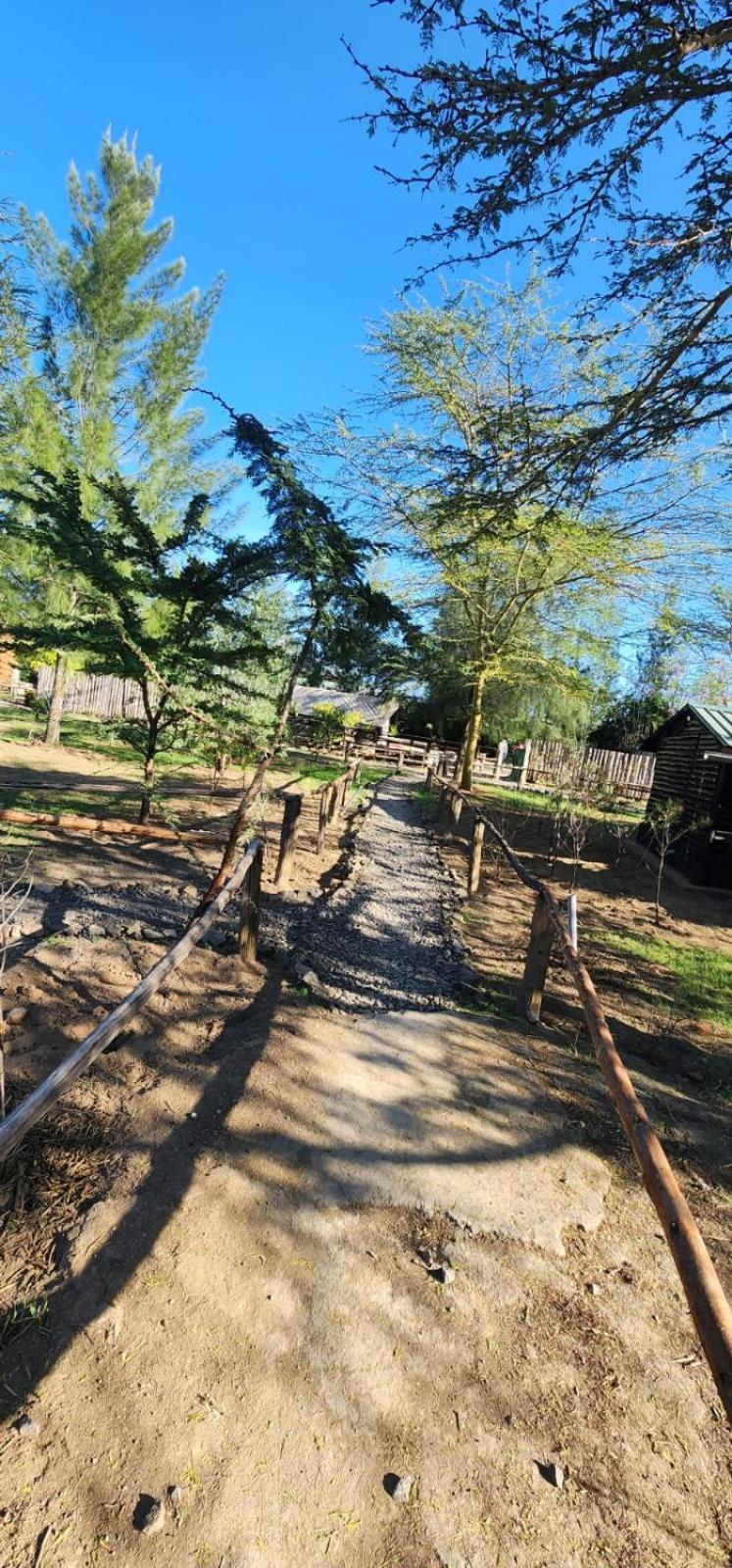 Lillypond Camp * Elmenteita